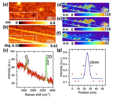 TERS Characterization of Graphene Nanoribbons