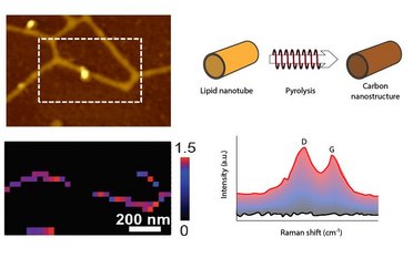 TERS Characterization of Lipid Nanotubes as Carbonaceous Material for Electrodes