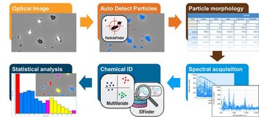 Analysis of Morphology and Chemical Identification of Pharmaceutical Micro-particles Using Particle Correlated Raman Spectroscopy - Illustration