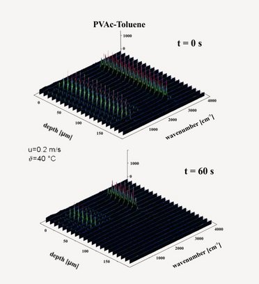 The Raman spectra in different layers of a solvent borne polymer coating during drying