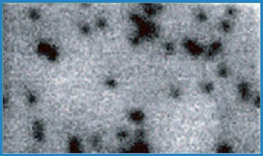 The defect density can be evaluated from the intensity image obtained by CL measurement.