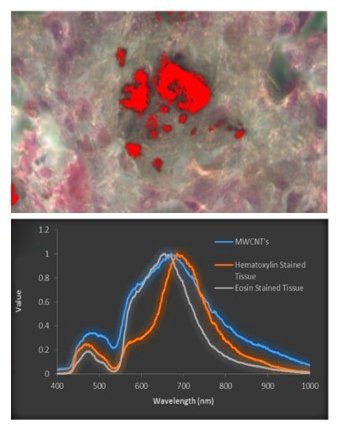 Application note - Multimodal Hyperspectral Imaging for Nanotoxicological Applications
