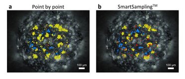 Raman imaging of a millimetre-sized core-shell SiO2@TiO2 sphere