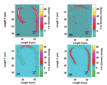 Mapping of the nanowire performed by recording step-spectra at every 200 nm with an integration time of 1s.