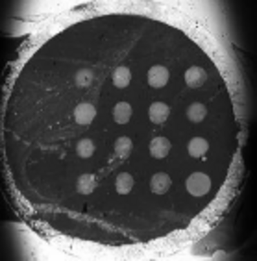 Oligosaccharides/Proteins Interactions